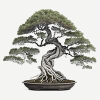bonsai träd på vit bakgrund, skapas med generativ ai foto