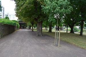 grus väg i ett urban parkera foto