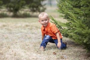 en liten pojke sitter på de gräs under en träd. en barn döljer Bakom en träd. foto