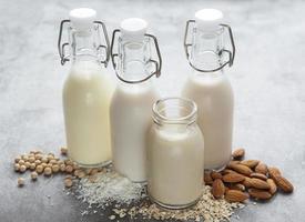 flaskor med olika vegetabilisk mjölk foto