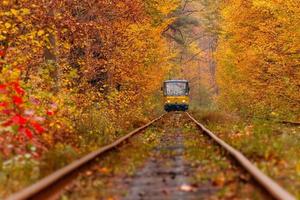 höst skog bland som går en konstig spårvagn foto