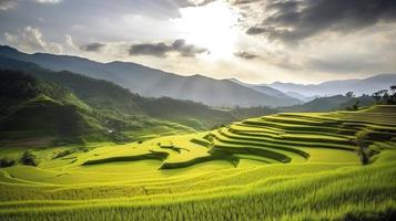 Foto terrasser ris fält på berg i thailand, generat ai