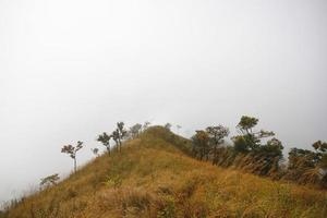 dimma och clound på de dal berg. dimma omslag de djungel kulle i thailand foto