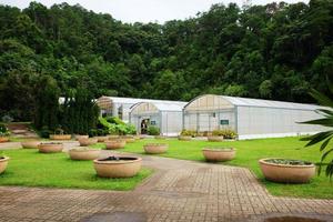 reenhouse och vinterträdgård på drottning sirikit botaniska trädgård och arboretum, klättrare spår för studie handla om olika växt arter. foto