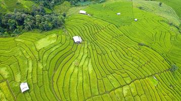 Flygfoto över de gröna terrasserade risfälten