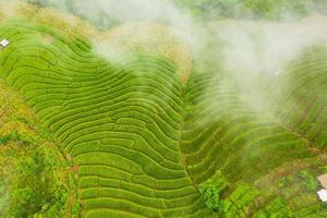 Flygfoto över de gröna terrasserade risfälten