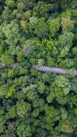 Flygfoto ovanifrån bil som kör genom skogen på landsväg, vy från drönare