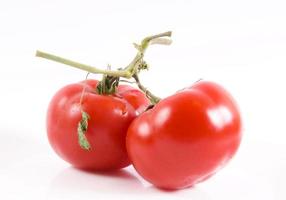 organiska ämnen tomater isolerat foto
