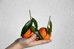 orange mandarin med grön löv på de handflatan av de pojke på en ljus bakgrund foto