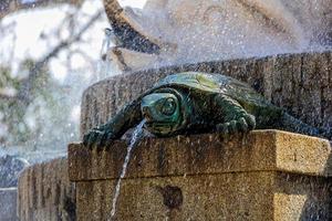 fontän i Madrids retiro parkera på en vår dag foto