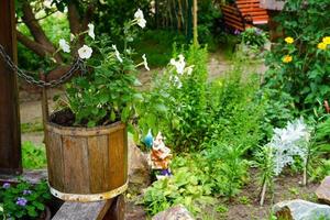 lantligt landskap med blommor i en trähink foto