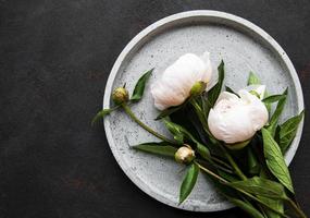 pion blommor på en svart betong bakgrund foto