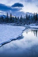 tidigt på morgonen vid en bäck nära canmore alberta canada foto