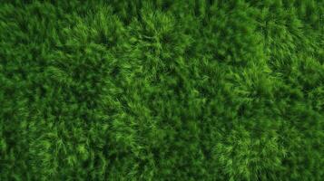 ai generativ. ai genererad. begrepp av Foto av grön gräs. bakgrund mönster jordbruk. kan vara Begagnade för grafisk design. grafisk konst