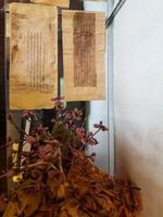 riau, indonesien i september 2019. en samling från de siak palats museum, i de form av två ark av poesi med en blommande bonsai träd under foto