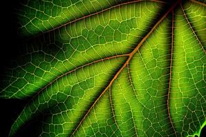 stänga upp av grön blad textur, grön blad textur. generativ ai foto