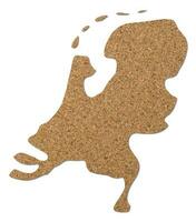 nederländerna Karta kork trä textur. foto