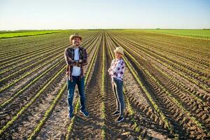 jordbrukare par på deras landa och plantage foto