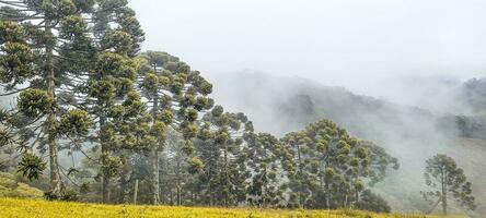 se av de bergen av minas gerais Brasilien foto