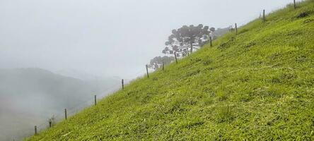 se av de bergen av minas gerais Brasilien foto