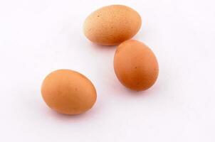 kyckling ägg isolerat foto