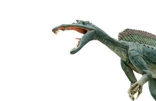 farlig spinosaurus isolerat på vit foto