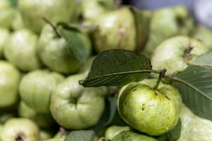 grön guava frukt för försäljning i thailand foto