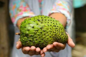 rå soursop på hand foto