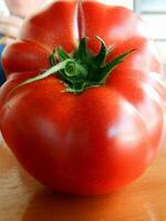 färsk organisk tomat foto