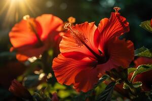 vibrerande hibiskus blooms i de solljus. ai genererad foto