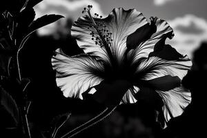 silhuett av en hibiskus blomma. ai genererad foto