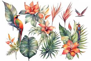 uppsättning av tropisk exotisk buketter med hibiskus blommor fjäril träd blommor fågel i paradis och banan löv monstera och handflatan löv hand dragen vattenfärg illustration hawaiian humör. ai genererad foto