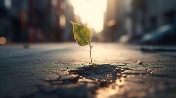 en små ungt träd framträder genom asfalt. generativ ai foto