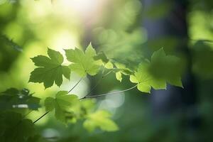 natur av grön blad i trädgård på sommar. naturlig grön löv växter använder sig av som vår bakgrund omslag sida grönska miljö ekologi tapet, generera ai foto