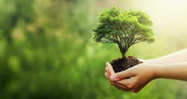 hand innehav träd på fläck grön natur bakgrund. begrepp eco jord dag foto