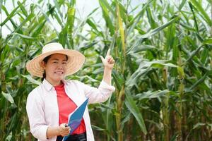 asiatisk kvinna trädgårdsmästare bär hatt, innehar urklipp, punkt finger upp på trädgård, ler i majs trädgård i thailand. begrepp , jordbruks studie och forskning till utveckla gröda. foto