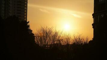 de skön solnedgång se med de byggnader' silhuett och orange Färg himmel som bakgrund i de stad foto