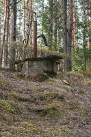 gammal övergiven vatten kolumn i de skog. retro vatten pump. runt om de träd. vertikal. foto