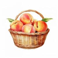 vattenfärg persika i korg. illustration generativ ai foto