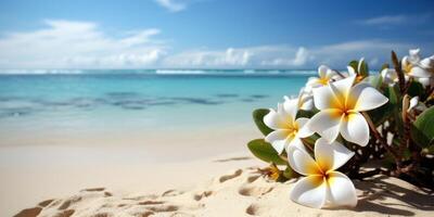 plumeria frangipani på tropisk hav och strand blå himmel bakgrund, sommar festlig tid. generativ ai foto