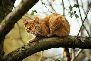 röd katt på träd gren. generera ai foto