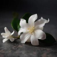 en vit blomma tillverkad förbi de blomma av jasmin ai genererad foto