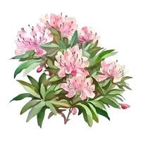 generativ ai innehåll, buske rhododendron ljus rosa kvist med blommor och löv vattenfärg hand dra illustration på en vit bakgrund. foto