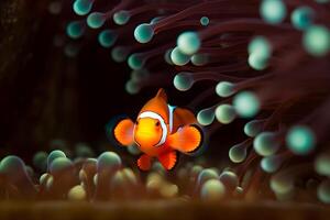 clown fisk marin liv anemon rev. neuralt nätverk ai genererad foto