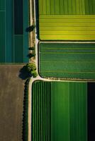 generativ ai, bruka landskap, jordbruks fält, skön landsbygden, Land väg. natur illustration, fotorealistisk topp se Drönare, vertikal formatera foto