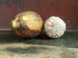 tropisk frukt öppen och intakt kokos isolerat foto