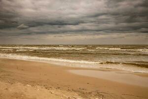 landskap från de strand på de putsa baltic hav på en molnig Häftigt blåsigt vår dag foto