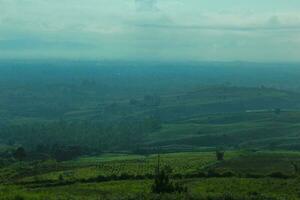 antenn se med skön grön kullar landskap. en äng med en moln skugga och en avlägsen lager av bergen i de luft dimma foto
