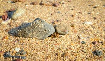 de sandig strand förbi de hav är en syn till skåda. med mjuk gyllene sand gör du känna uppdateras och föryngrad. sandig stränder, skal och stenar göra strand skön i natur. Bra plats till koppla av foto