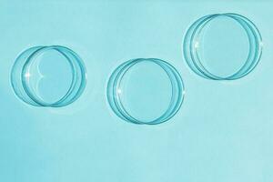 petri maträtt. en uppsättning av petri koppar. en pipett, glas rör. på en blå blå bakgrund. foto